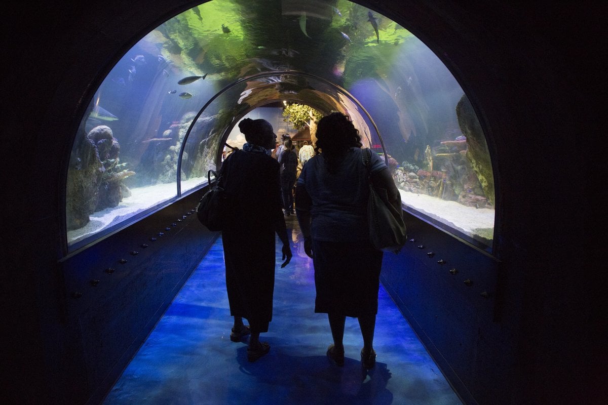Shreveport Aquarium - Gallery Image 1